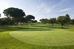 Golf Clubs in Brighton - Things to Do In Brighton